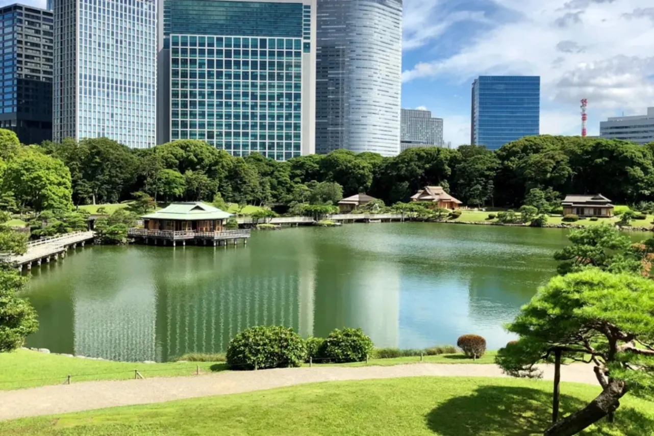 ▲写真提供：公益財団法人 東京都公園協会
