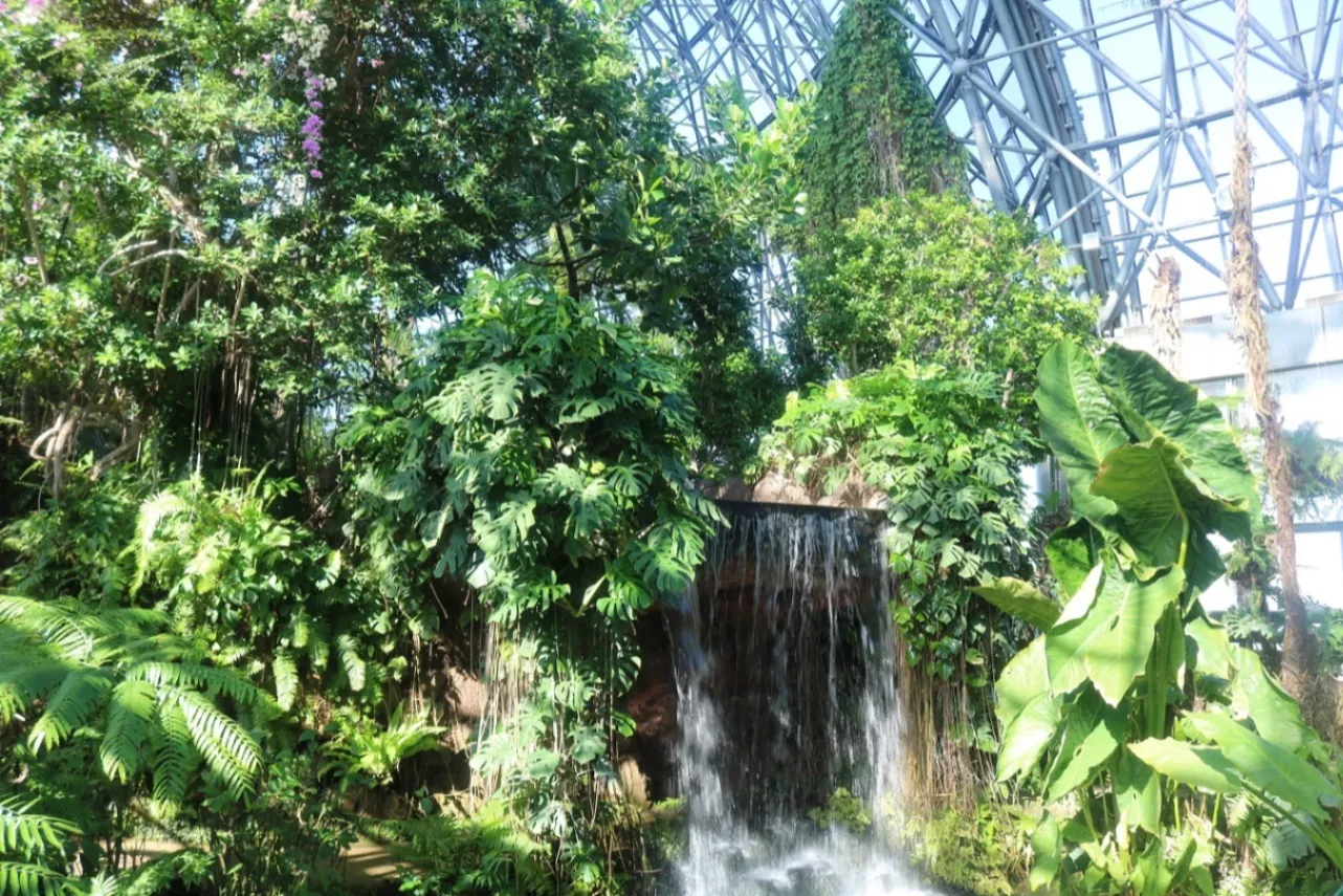 「みどりの日」に入場無料になる東京スポット12選【2026】_3508238