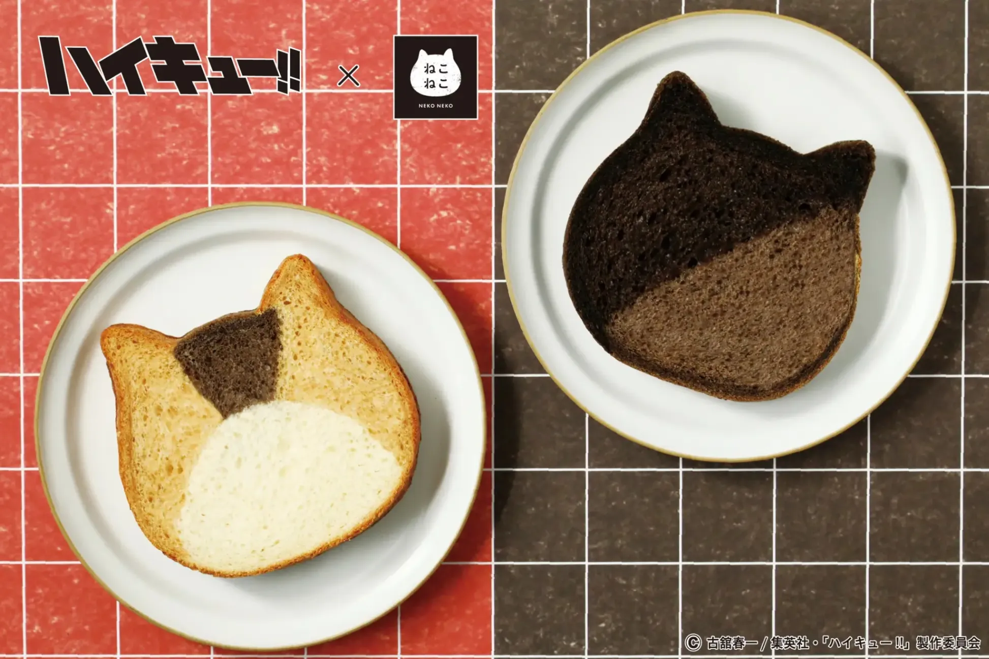 『ハイキュー‼』とのコラボ商品が「ねこねこ」＆「ハートブレッドアンティーク」より登場