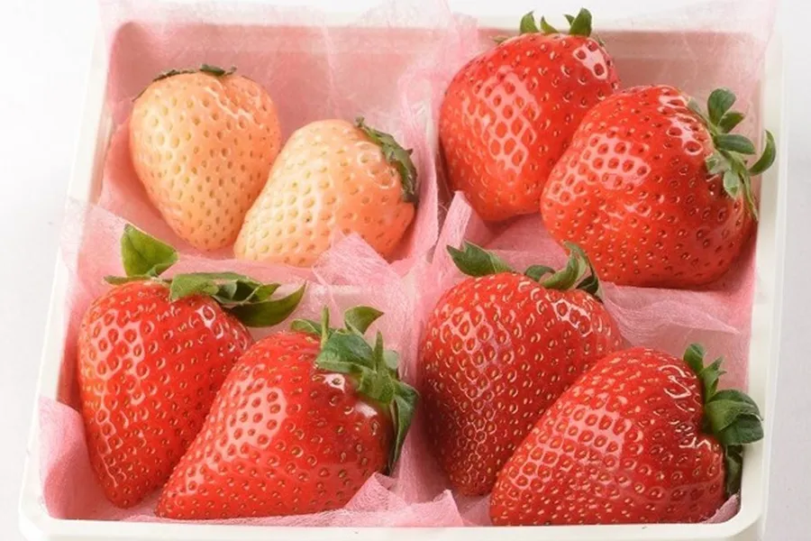 旬のイチゴが無料も！絶対行きたい「ストロベリースイーツ」イベント4選[2018年1月]