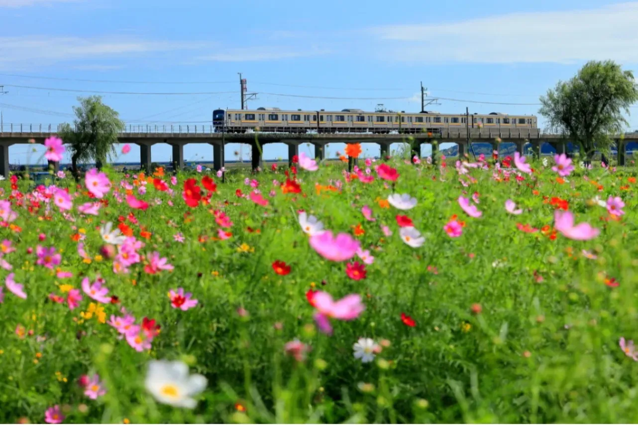 ▲提供：香取市