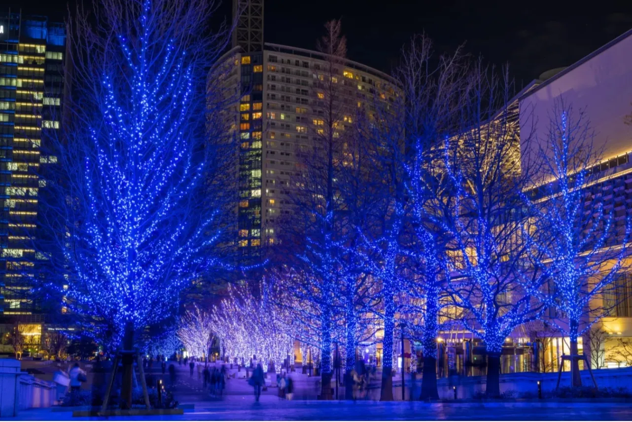 ▲過去開催時の様子