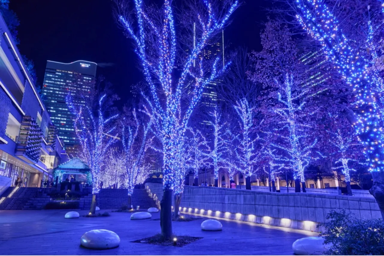 ▲過去開催時の様子