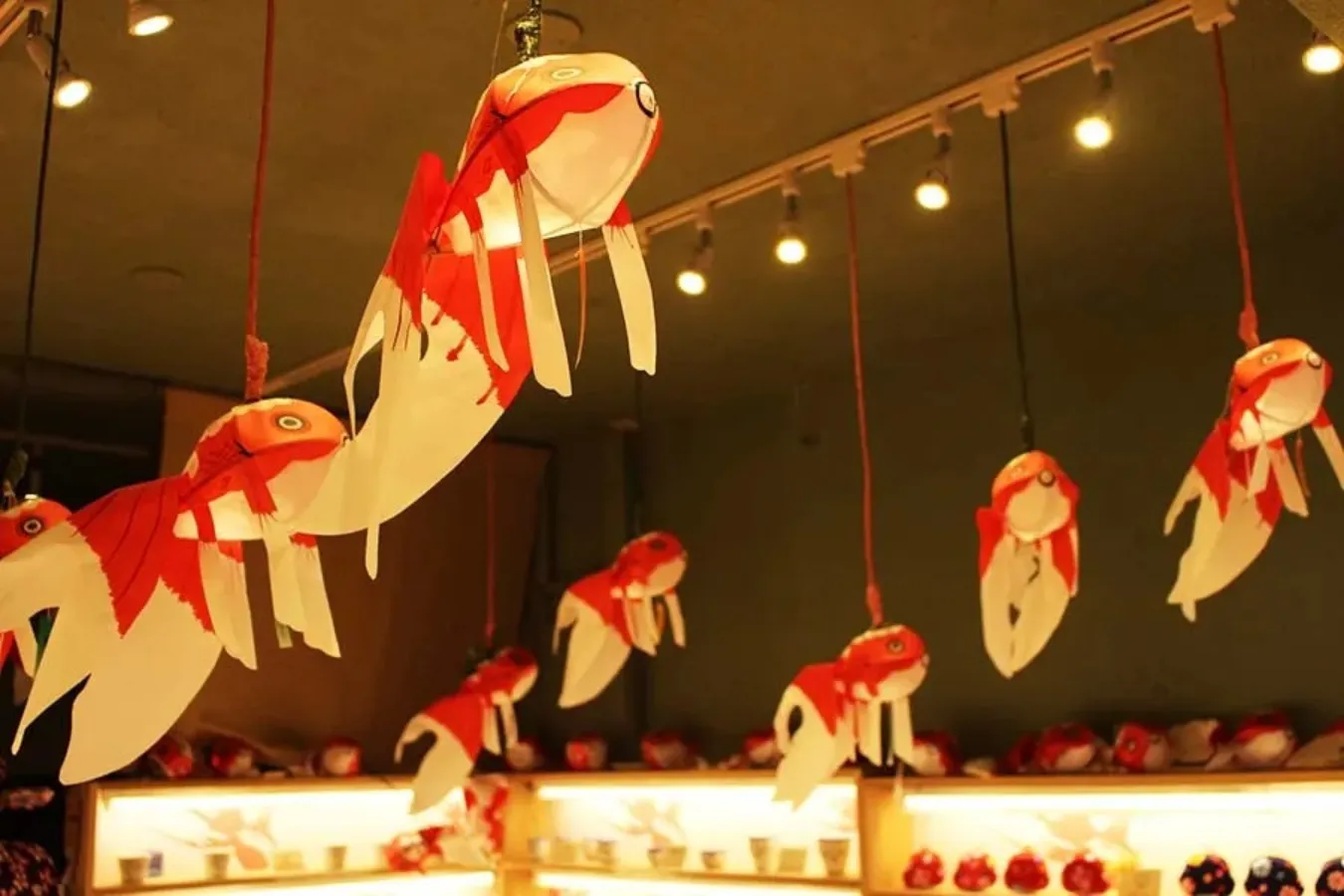 浅草】一年中「金魚すくい」ができる場所！「浅草きんぎょ」レポ