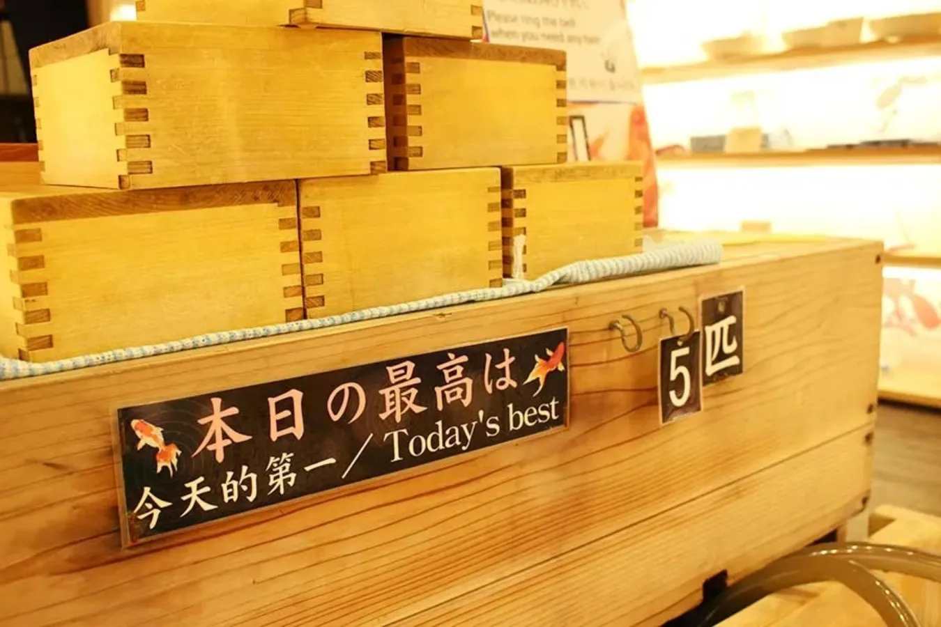 【浅草】一年中「金魚すくい」ができる場所！「浅草きんぎょ」レポ_2714305