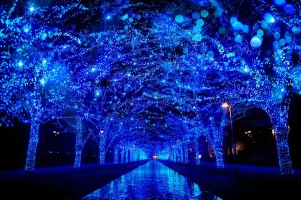 代々木公園のイルミネーション「青の洞窟 SHIBUYA」完全解説