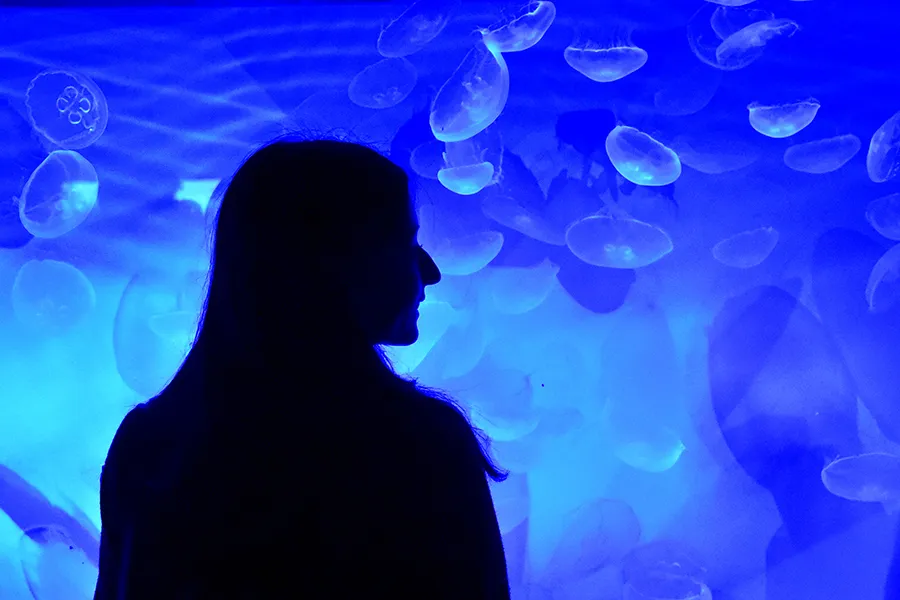 幻想的な水中世界がゆらゆら心をほどく「癒し」のデートを【ゆるむおでかけ】