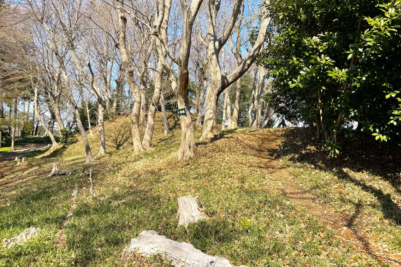 ▲前方後円墳の秋葉1号墳