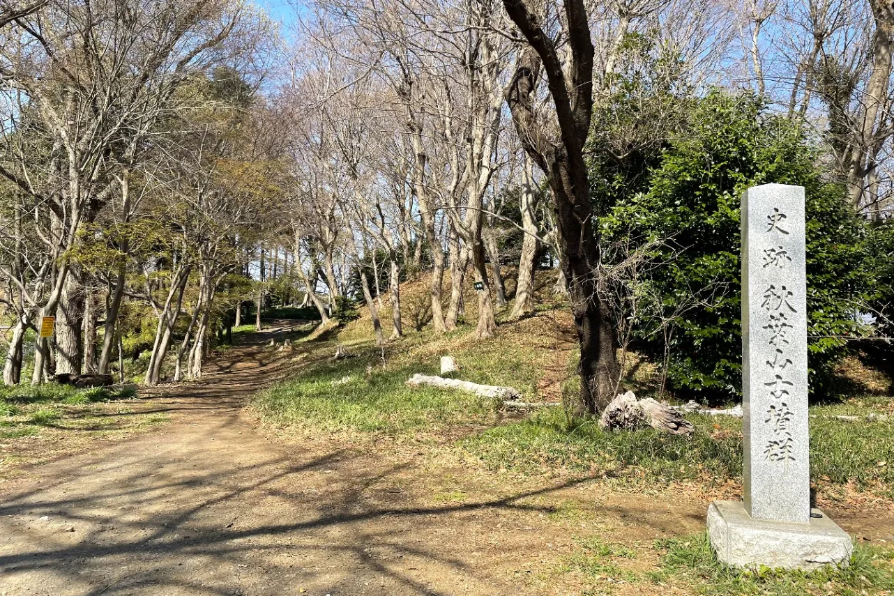 古墳の変化の過程が一カ所でわかる！“古墳ピクニック”もできる、海老名「秋葉山古墳群」_1581712