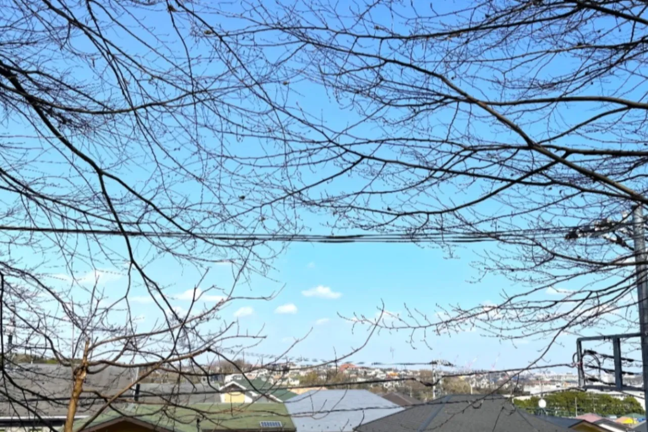 ▲海老名市で一番標高が高い場所なので、空の広さを感じられます
