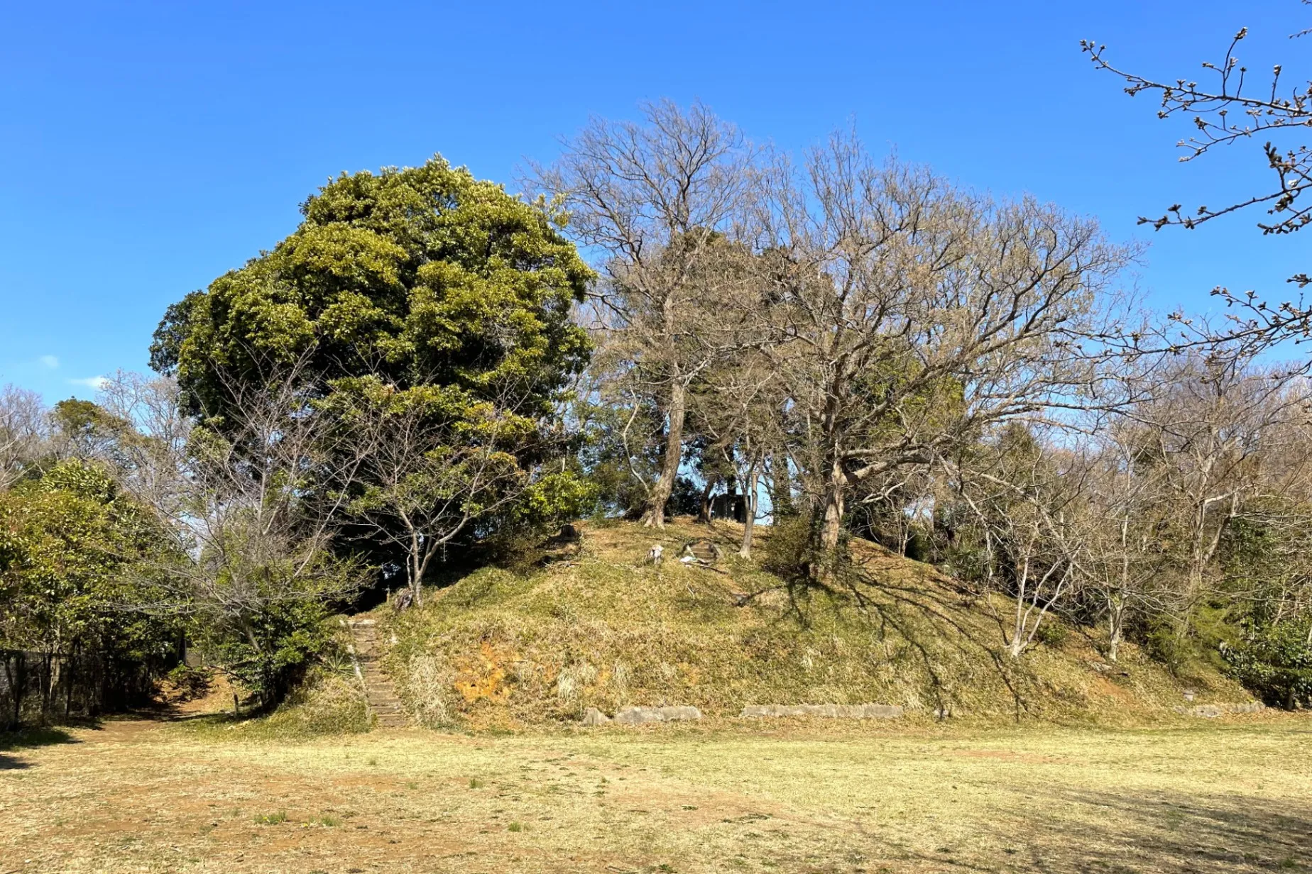 古墳の変化の過程が一カ所でわかる！“古墳ピクニック”もできる、海老名「秋葉山古墳群」