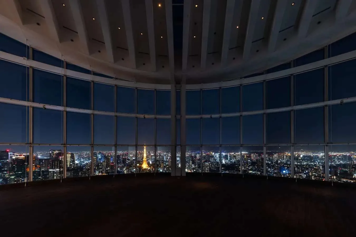 東京で行くべき夜景スポット12選！定番から穴場まで紹介_2989169