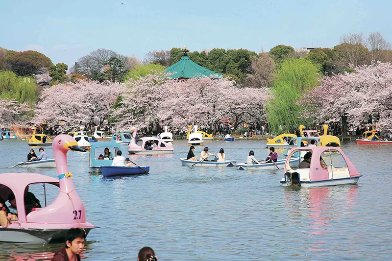 【2017速報】上野公園のお花見情報！今年いちばんの桜の見所やテイクアウトグルメも♪