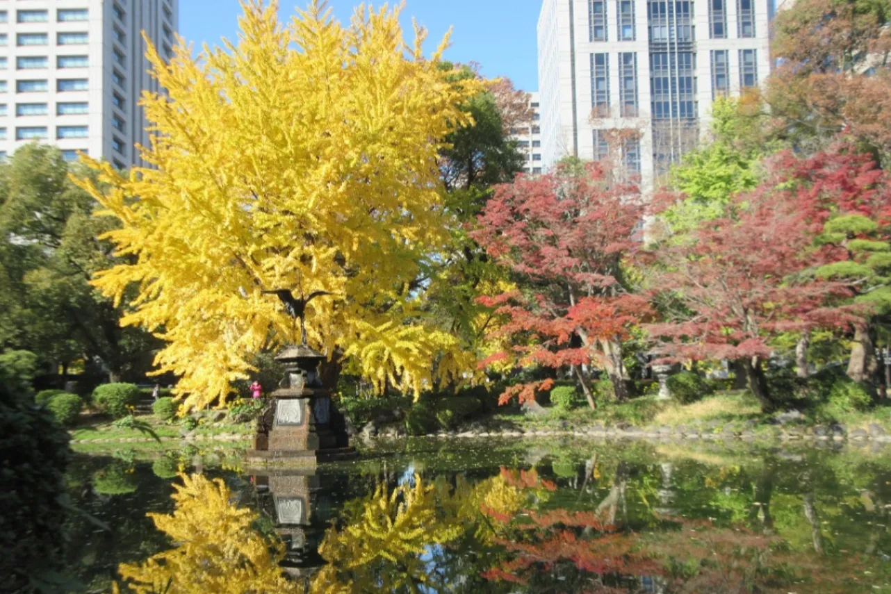 ▲雲形池の紅葉（画像提供：公益財団法人東京都公園協会）