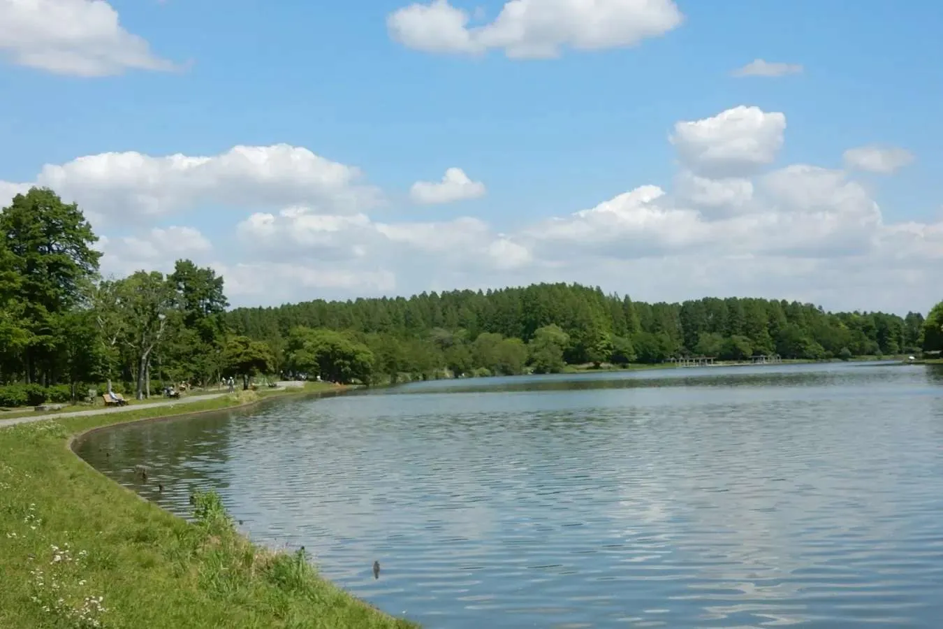 ▲小合溜からの景観