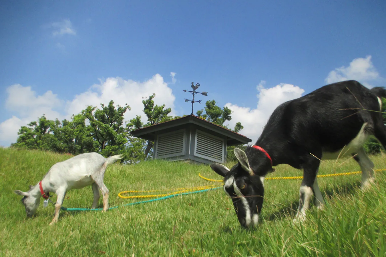 【東京】無料スポットも！お金のかからないデートプラン30選_2944562