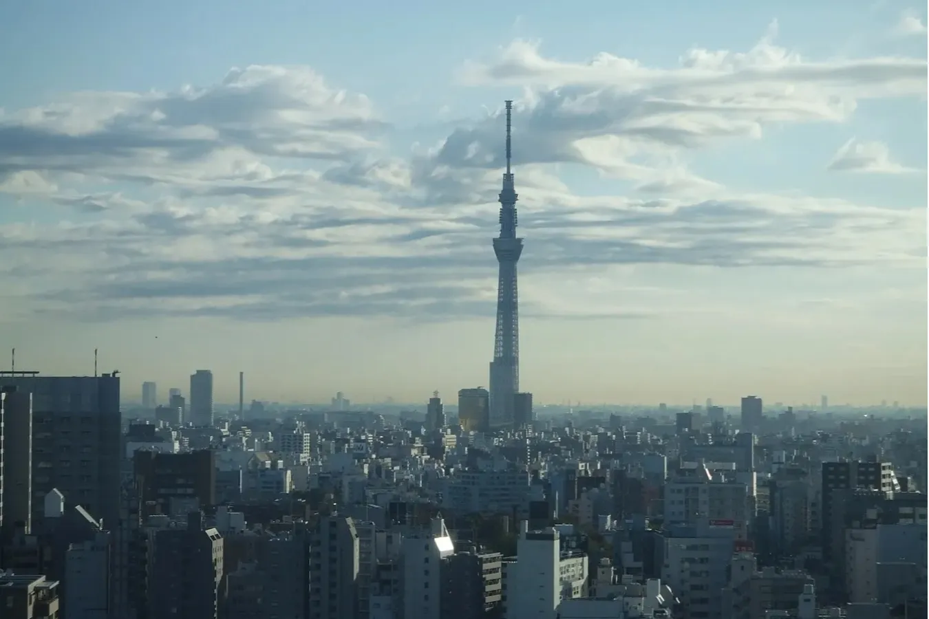 【東京】無料スポットも！お金のかからないデートプラン30選_2944567