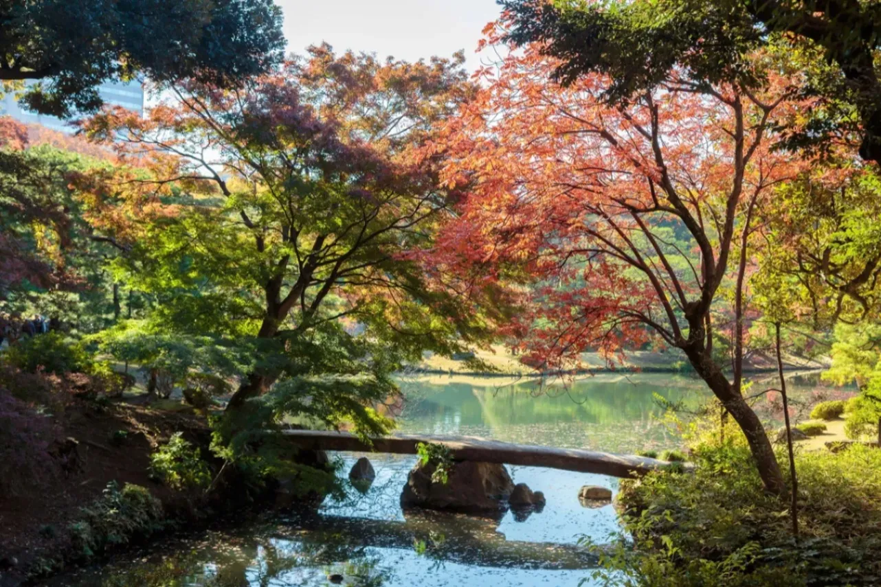 【都内＆東京近郊】デートにオススメの「紅葉スポット」10選_2976749