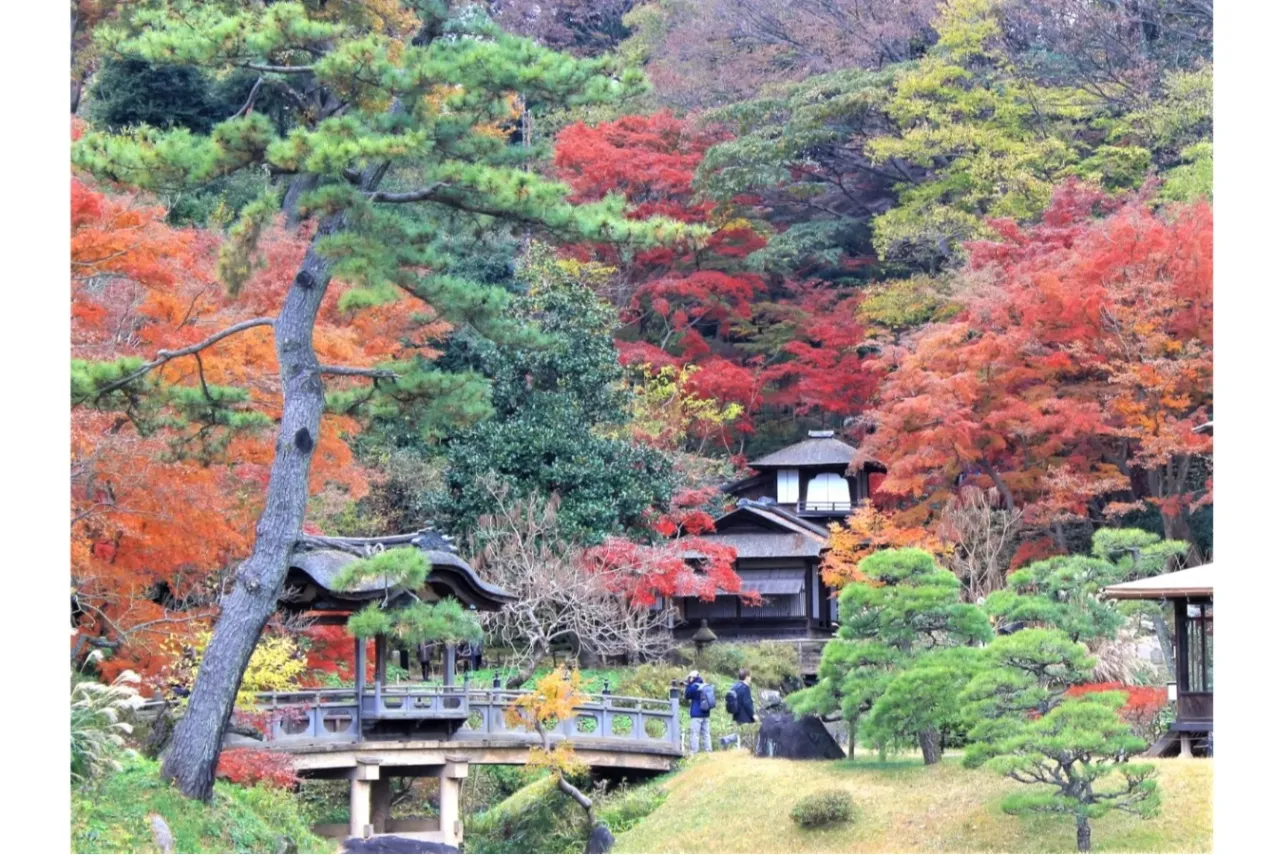 ▲内苑の紅葉