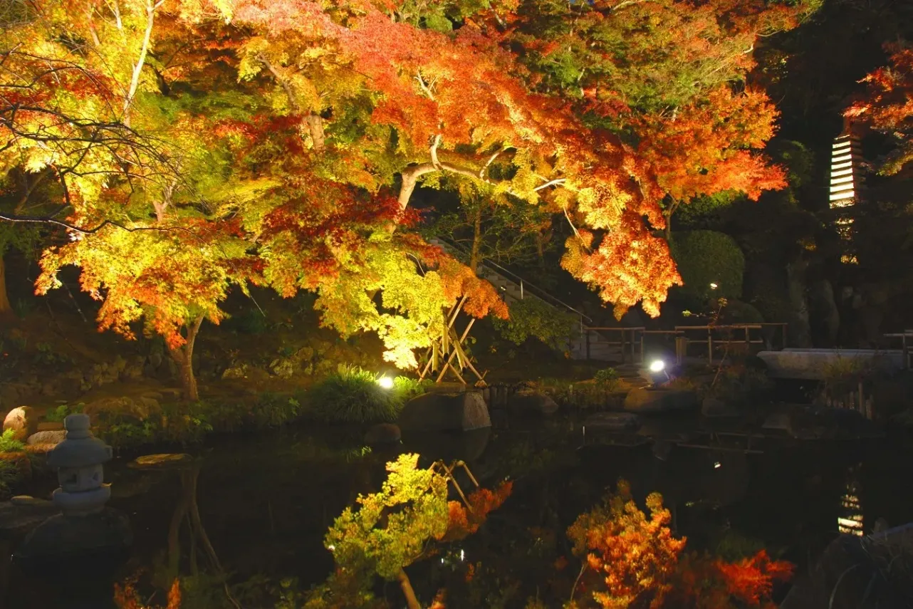 【都内＆東京近郊】デートにオススメの「紅葉スポット」12選_4138264