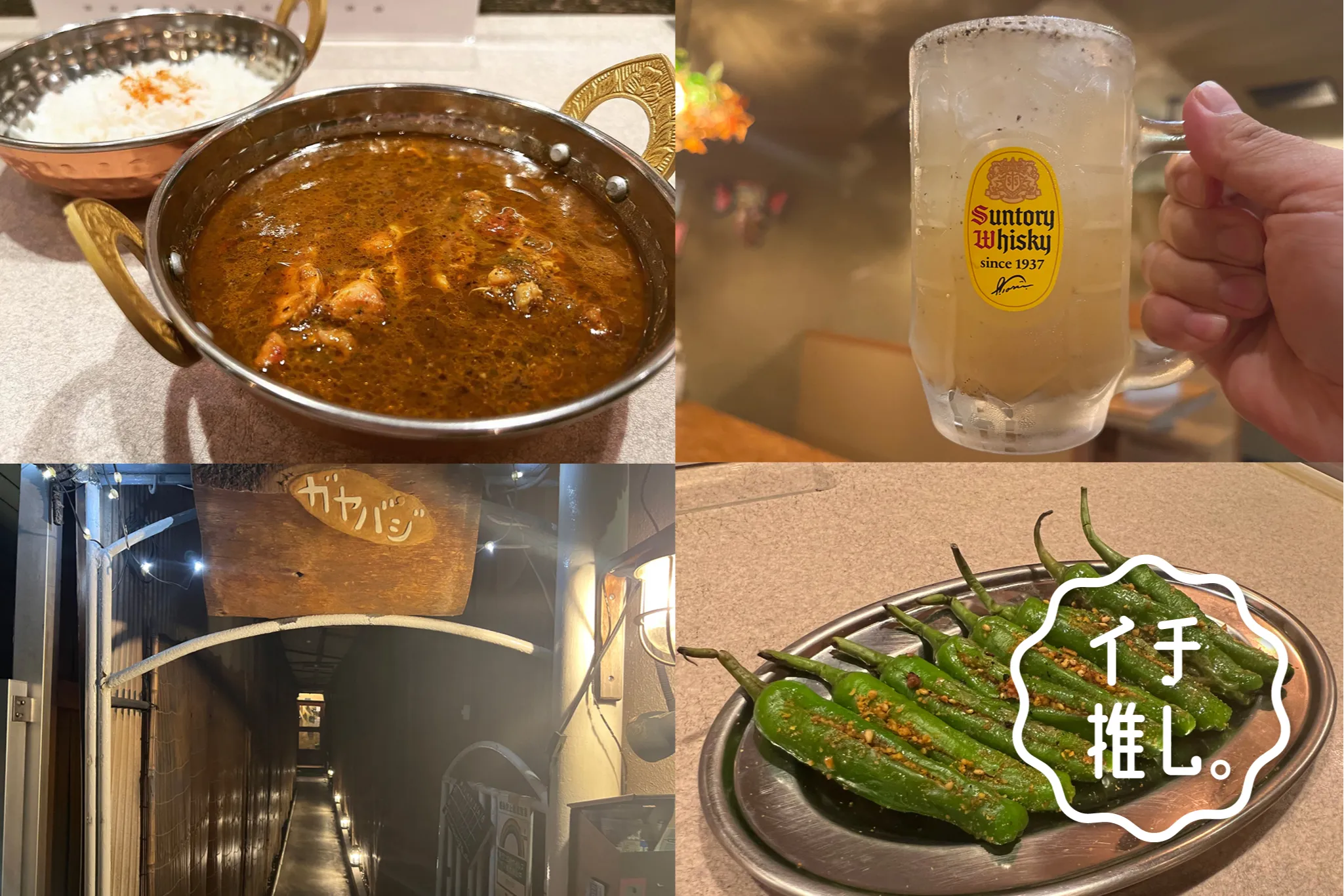 【浅草】西インド料理店「ガヤバジ」カレー愛好家・カレー細胞のイチ推し。