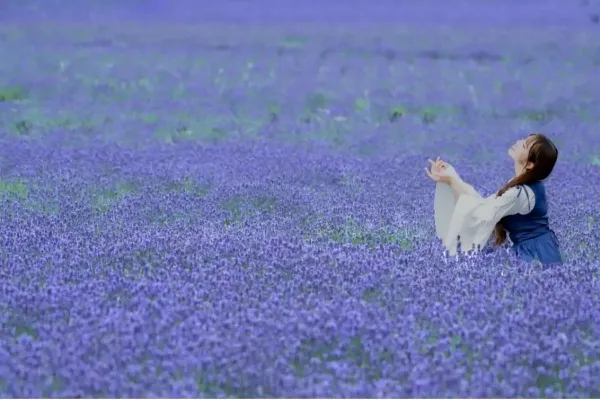 【2026】夏に楽しめる関東「お花畑」5選