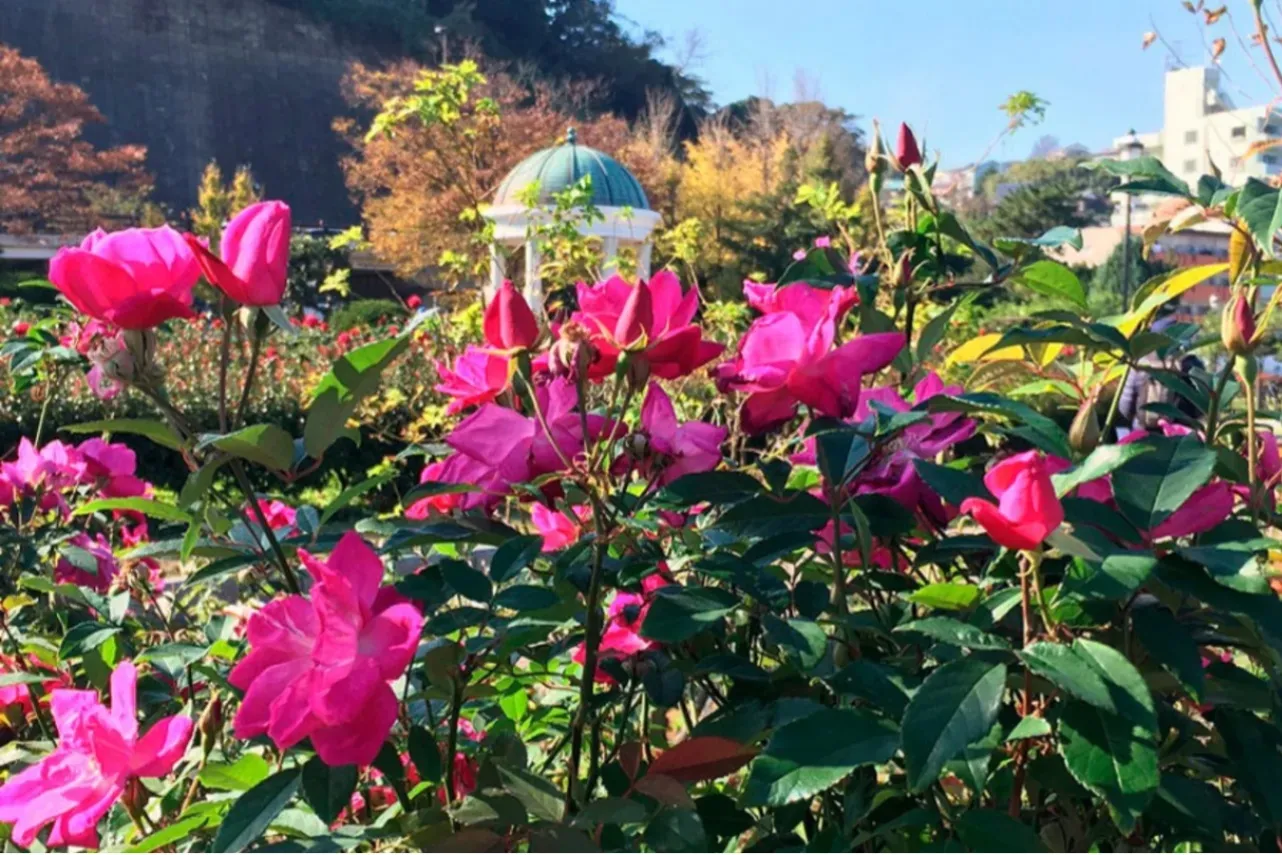 【横須賀】日帰り観光にオススメのスポット6選！一人旅に◎_3988396