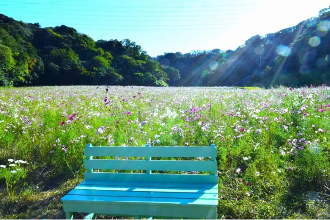 ▲ハーブ園
