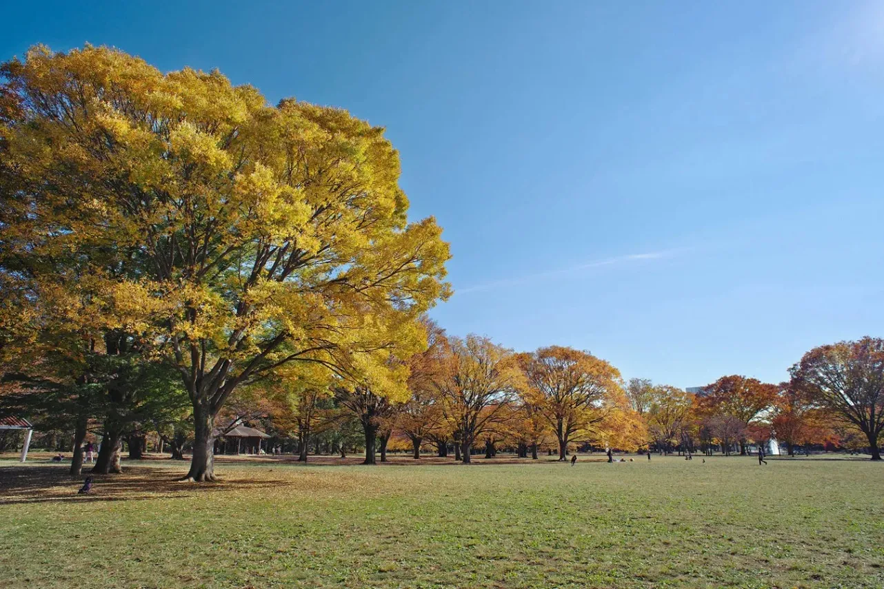 画像提供：公益財団法人東京都公園協会