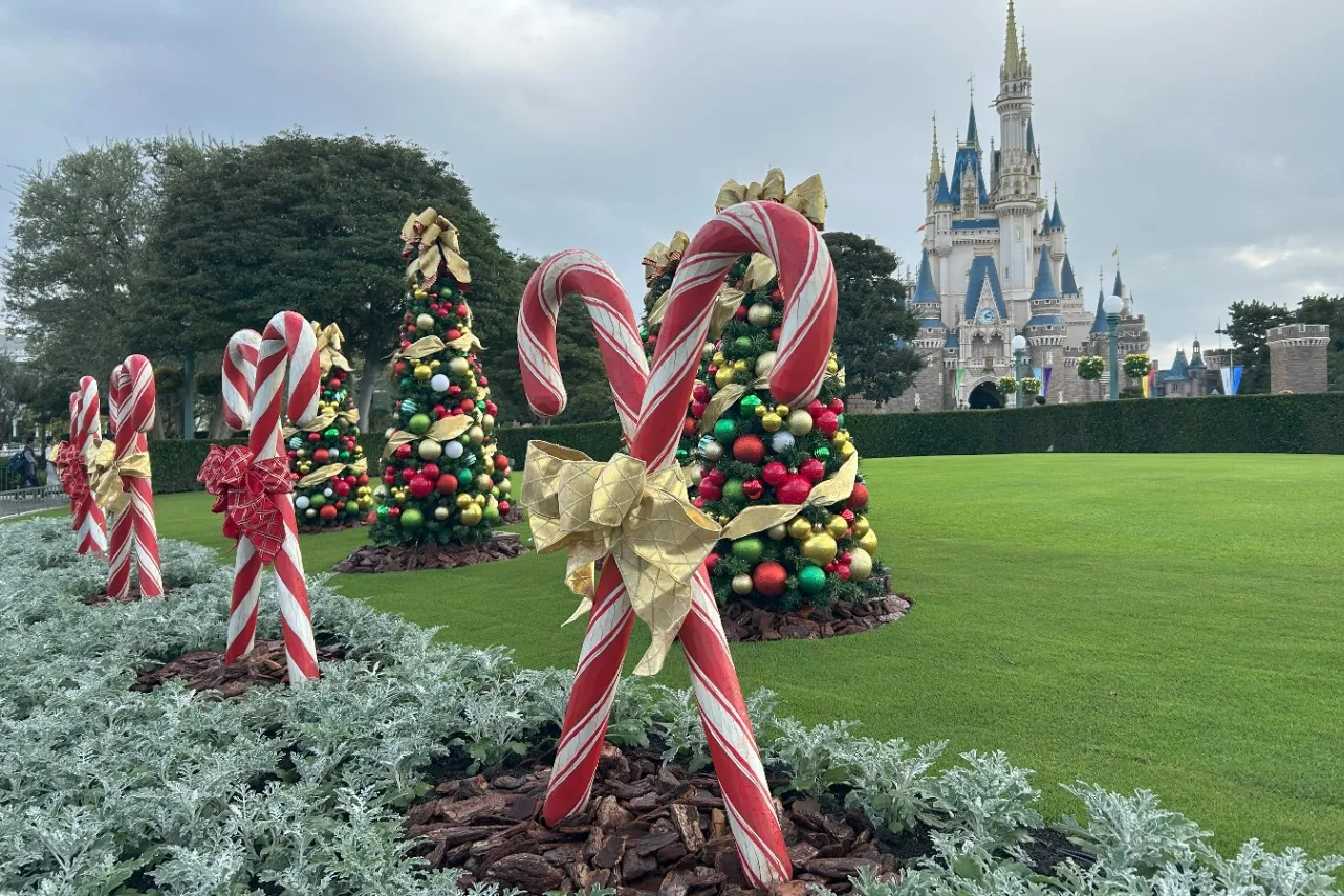冬の東京ディズニーリゾート(R)で幻想的なひとときを♪「ディズニー・クリスマス」開催_3075120