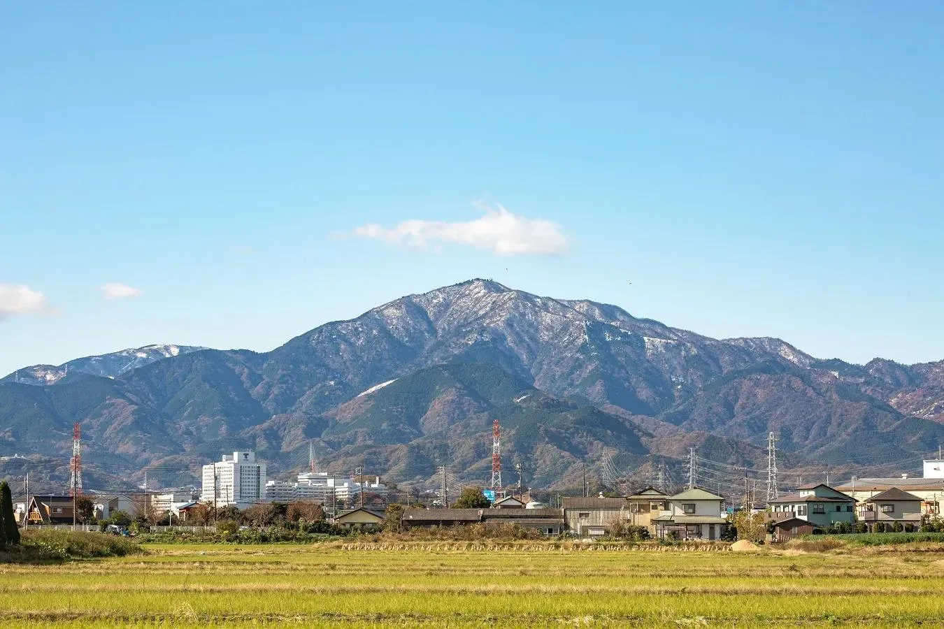 ▲大山全景