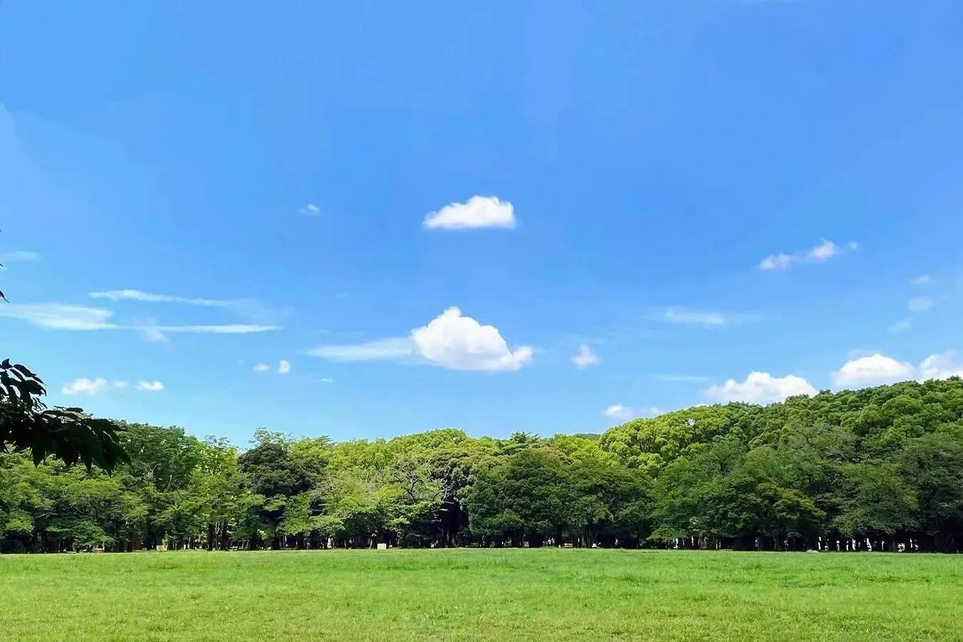 ▲画像提供：公益財団法人東京都公園協会