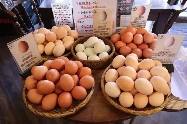 「変わりダネ」食べ放題9選！卵かけご飯、明太子、チーズetc.