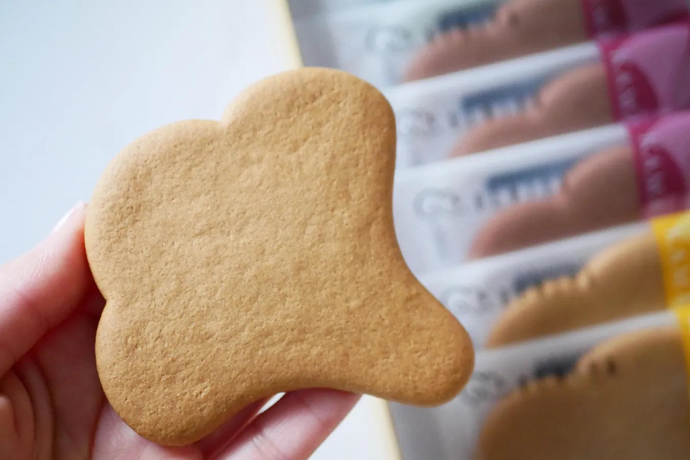 鎌倉で外さない手土産を買うなら！クルミッ子が人気の「鎌倉紅谷」_1558893