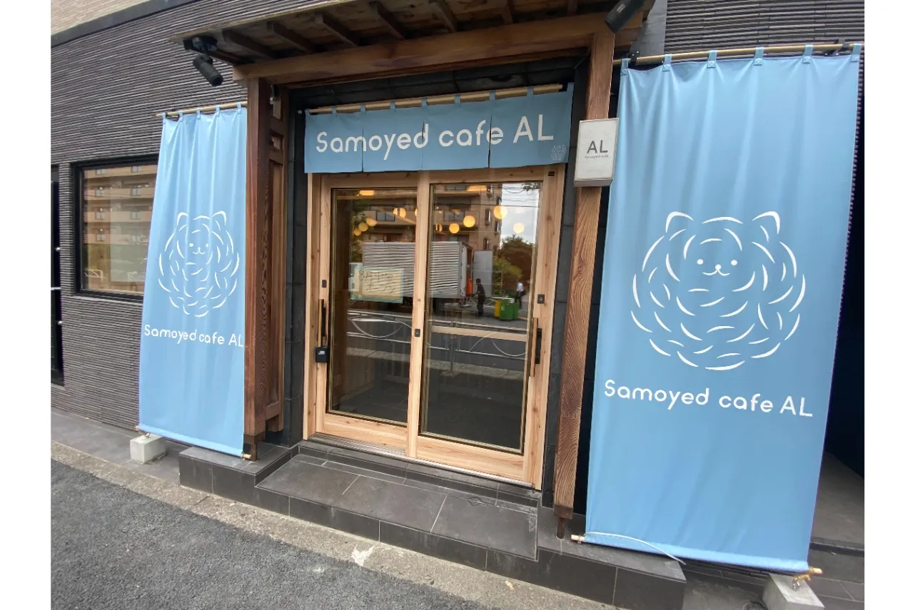 サモエド限定の犬カフェ！「サモエドカフェ  アル」が駒沢大学駅にオープン_1764583