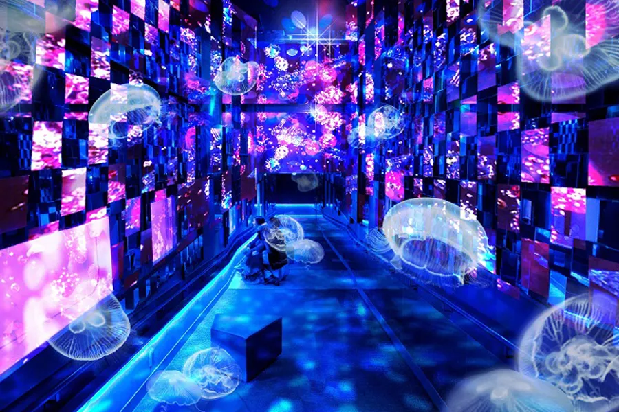 今行きたい東京イベントランキングTOP10！アクアリウムアートから遊園地イルミまで♪【2017年10月14日版】