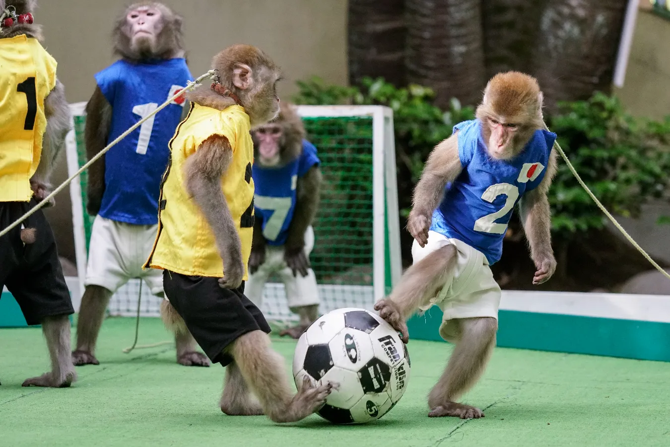 暇な日に行きたい！定番から穴場までおでかけスポット36選【前売りチケットあり】_1860904