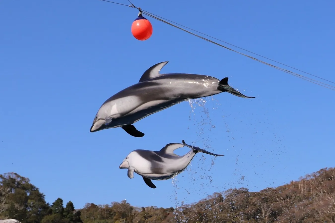 暇な日に行きたい！定番から穴場までおでかけスポット36選【前売りチケットあり】_1860905