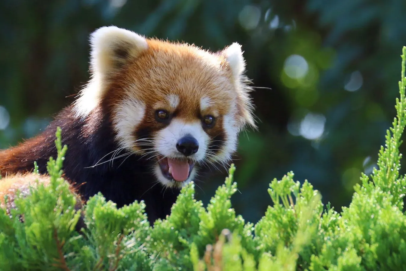 暇な日に行きたい！定番から穴場までおでかけスポット36選【前売りチケットあり】_1860925