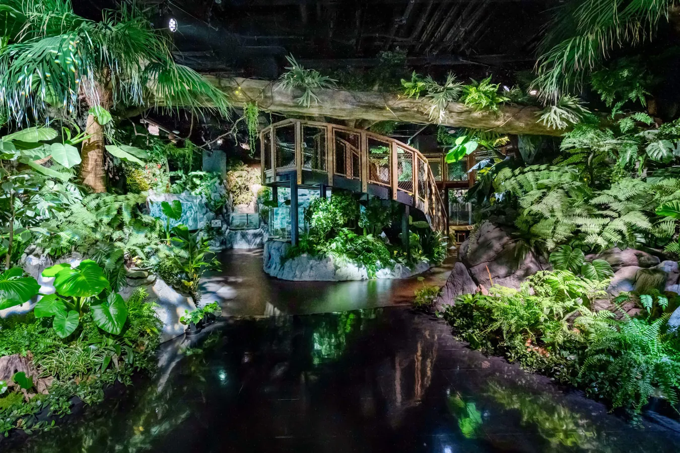 暇な日に行きたい！定番から穴場までおでかけスポット36選【前売りチケットあり】_1860927