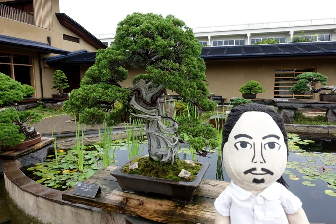 究極のソロ遊び？　さいたま市大宮盆栽美術館で物思う