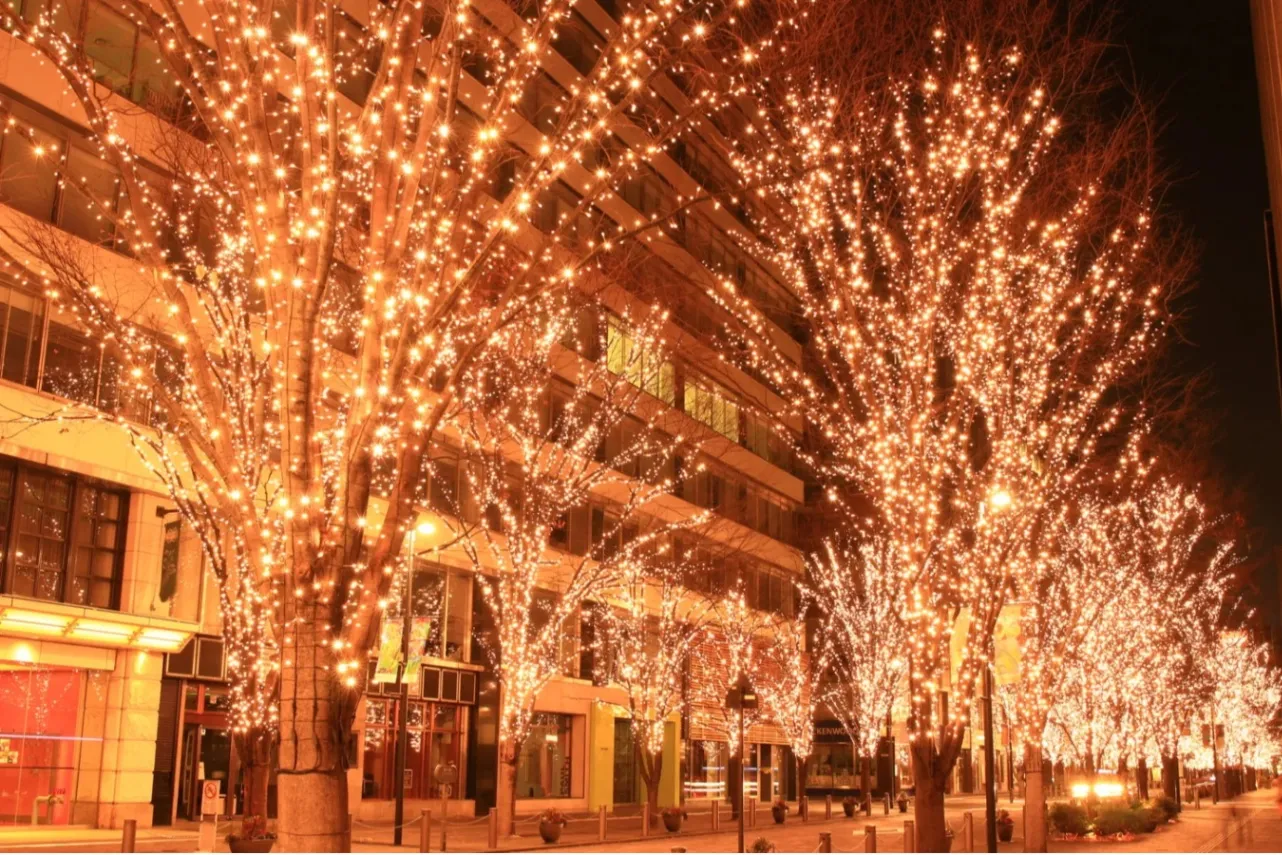 1月のデートどこ行こう？オススメの東京イベント＆おでかけスポット10選_3222412