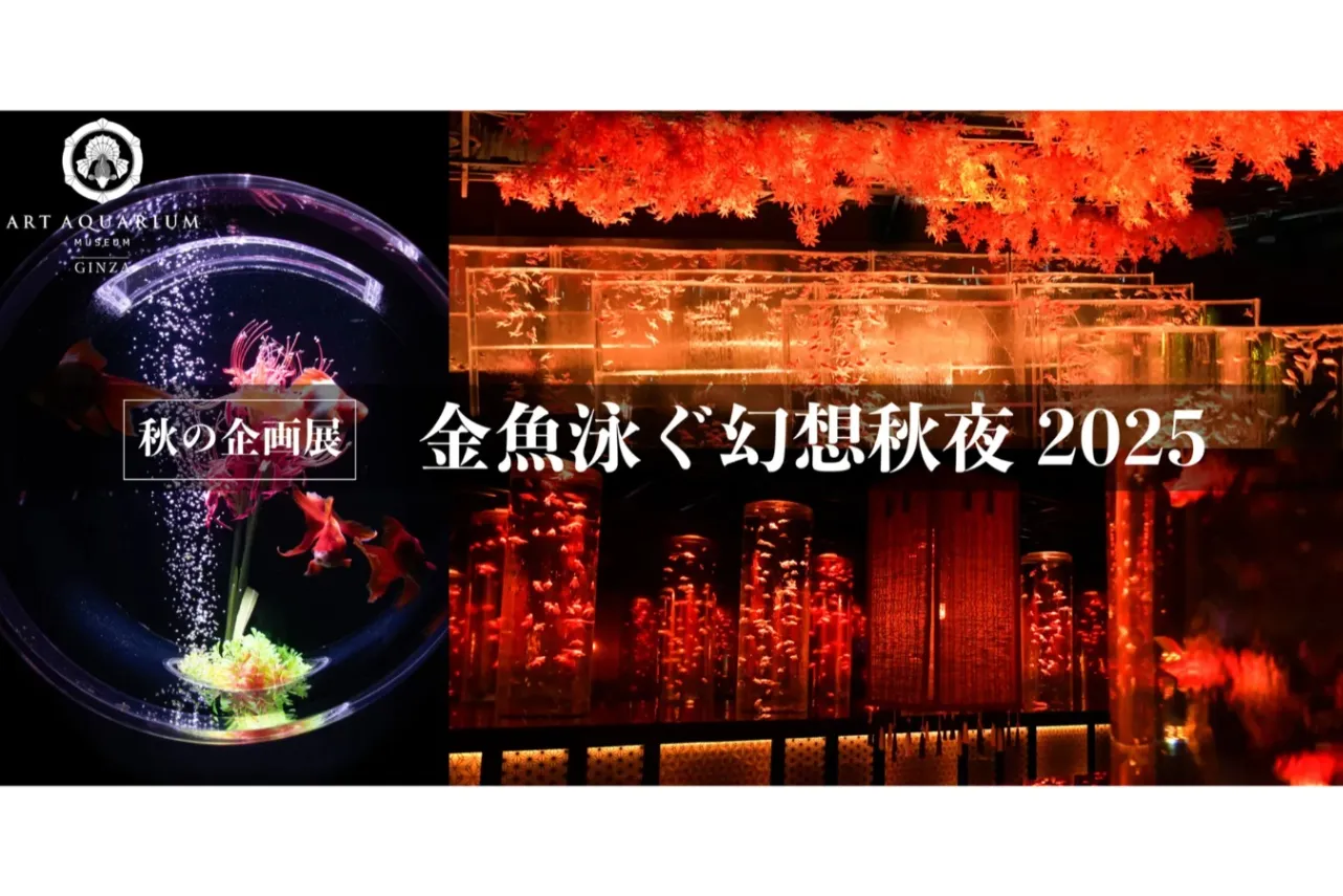 季節のおでかけまとめ～東京メトロ沿線の“11月に行きたいイベント5選”～_3040486