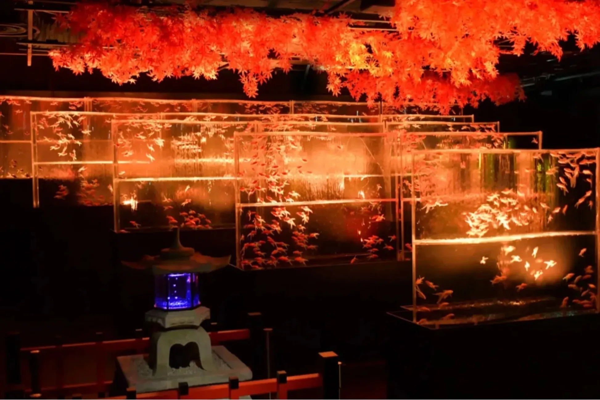 季節のおでかけまとめ～東京メトロ沿線の“11月に行きたいイベント5選”～