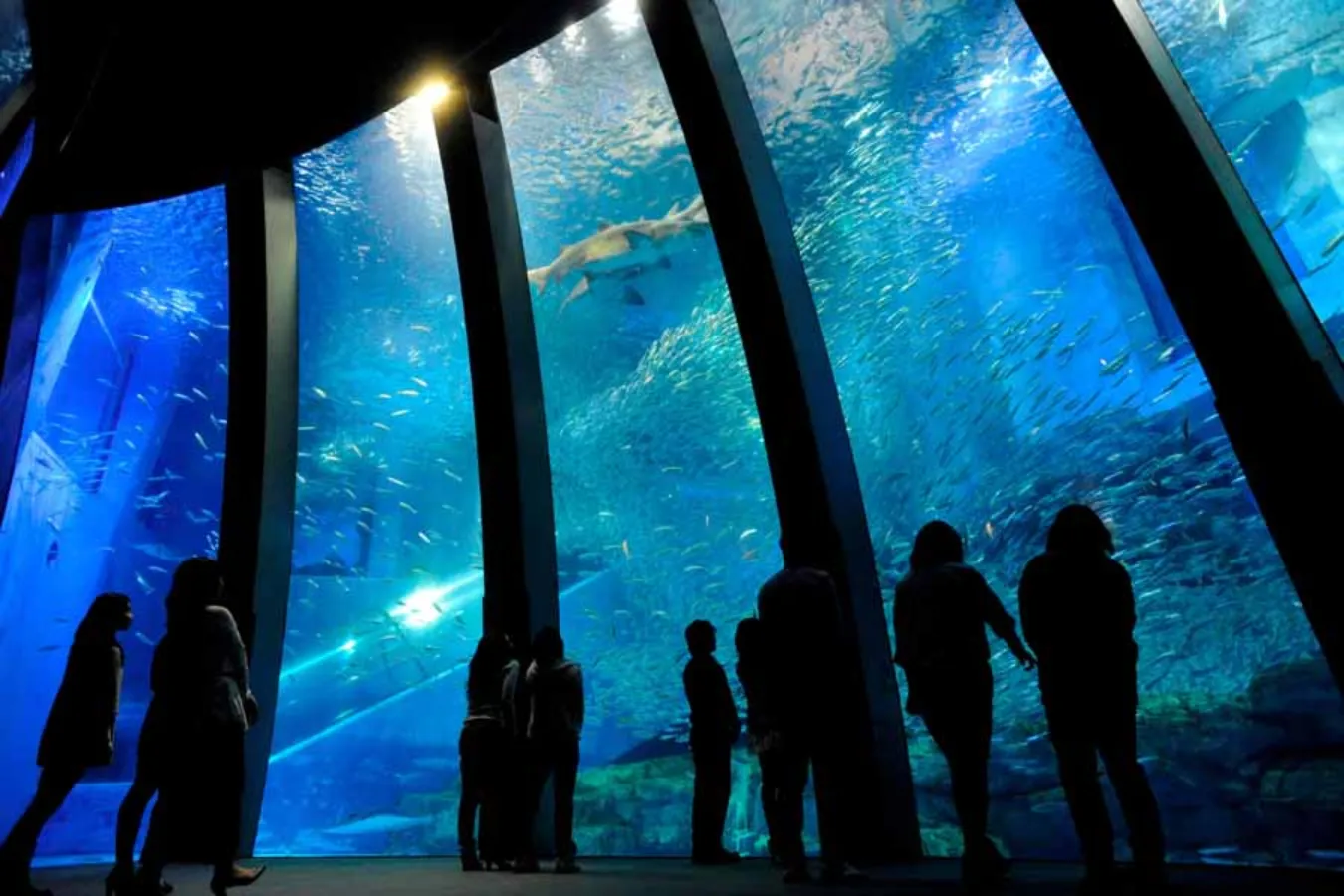 神奈川で大人が遊ぶところ18選！友達と遊べるレジャースポットを一挙紹介_2626580