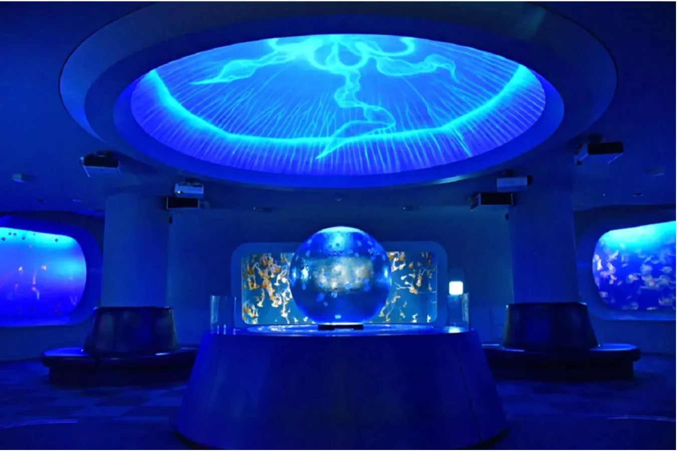 ▲クラゲファンタジーホール