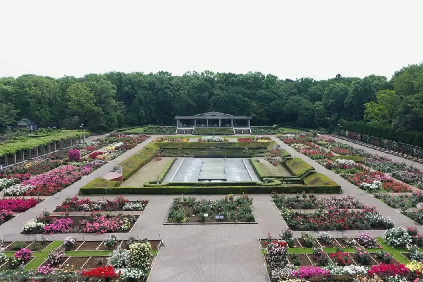▲春のばら園（写真提供：神代植物公園）