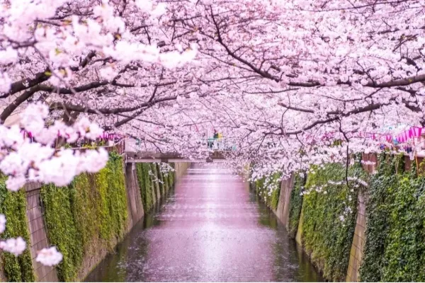 【2026】春デートどこ行く？オススメのスポット10選