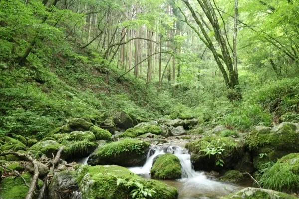 東京から気軽に日帰りハイキング！関東にある低山まとめ