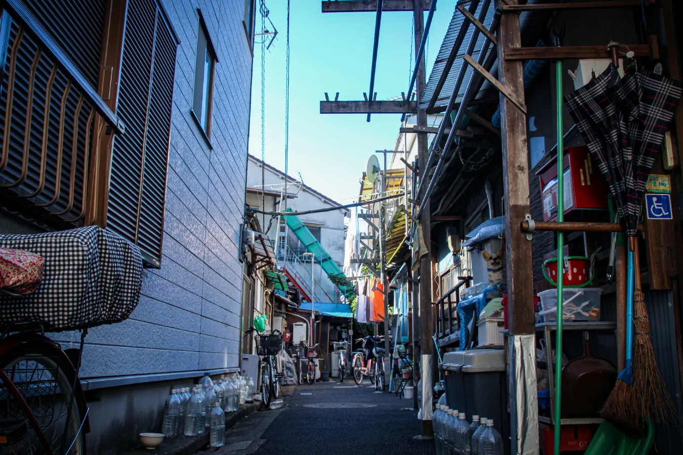 ▲
墨田区墨田のドンツキ。道路にせり出した物干し台、猫よけのペットボトル、路上の自転車など、下町のドンツキの定番アイテムがオンパレード。